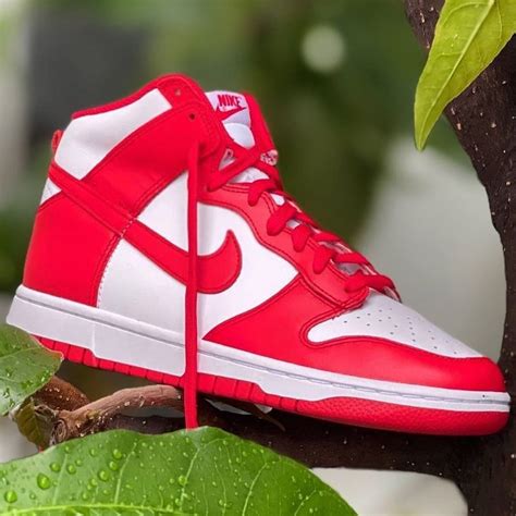 nike dunks rot|nike dunk high.